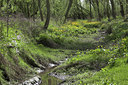BUITEN BEELD Foto: 72047