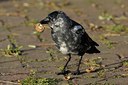 BUITEN BEELD Foto: 72091