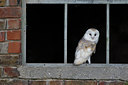 BUITEN BEELD Foto: 72188