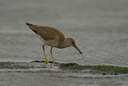 BUITEN BEELD Foto: 72350