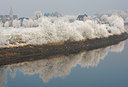 BUITEN BEELD Foto: 72399
