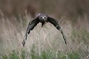 BUITEN BEELD Foto: 72404