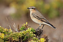 BUITEN BEELD Foto: 72425