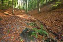 BUITEN BEELD Foto: 72678
