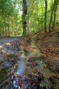 BUITEN BEELD Foto: 72690