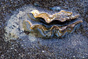 BUITEN BEELD Foto: 72734