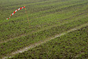 BUITEN BEELD Foto: 72761