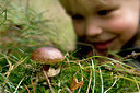 BUITEN BEELD Foto: 72799