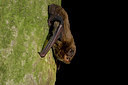 BUITEN BEELD Foto: 72843