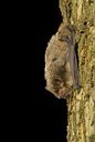 BUITEN BEELD Foto: 72850