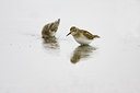 BUITEN BEELD Foto: 72900