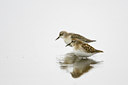 BUITEN BEELD Foto: 72901