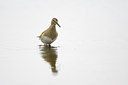 BUITEN BEELD Foto: 72904