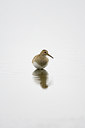 BUITEN BEELD Foto: 72907