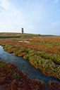 BUITEN BEELD Foto: 72941