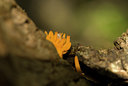 BUITEN BEELD Foto: 72990
