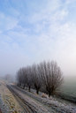 BUITEN BEELD Foto: 73009