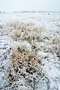 BUITEN BEELD Foto: 73018