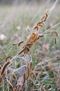 BUITEN BEELD Foto: 73067