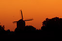 BUITEN BEELD Foto: 73076