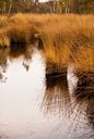 BUITEN BEELD Foto: 73107