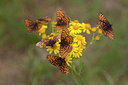 BUITEN BEELD Foto: 73169