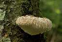 BUITEN BEELD Foto: 73191