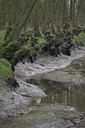 BUITEN BEELD Foto: 73243