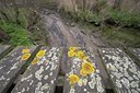 BUITEN BEELD Foto: 73246