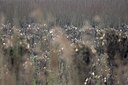BUITEN BEELD Foto: 73248