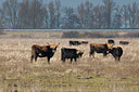 BUITEN BEELD Foto: 73299