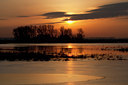 BUITEN BEELD Foto: 73314