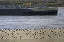 BUITEN BEELD Foto: 73384