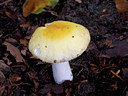 BUITEN BEELD Foto: 73387