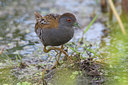BUITEN BEELD Foto: 73414