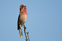 BUITEN BEELD Foto: 73453