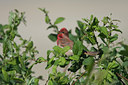BUITEN BEELD Foto: 73455