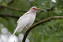 BUITEN BEELD Foto: 73480