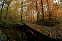 BUITEN BEELD Foto: 73601