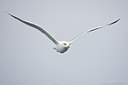 BUITEN BEELD Foto: 73718