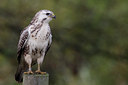 BUITEN BEELD Foto: 73805