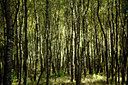 BUITEN BEELD Foto: 73817