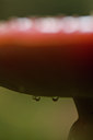 BUITEN BEELD Foto: 73850