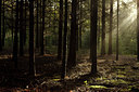 BUITEN BEELD Foto: 73862
