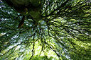 BUITEN BEELD Foto: 73881