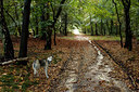 BUITEN BEELD Foto: 73901