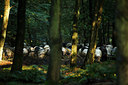 BUITEN BEELD Foto: 73920
