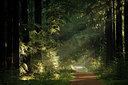 BUITEN BEELD Foto: 73949