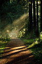 BUITEN BEELD Foto: 73953