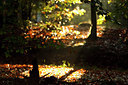 BUITEN BEELD Foto: 73954